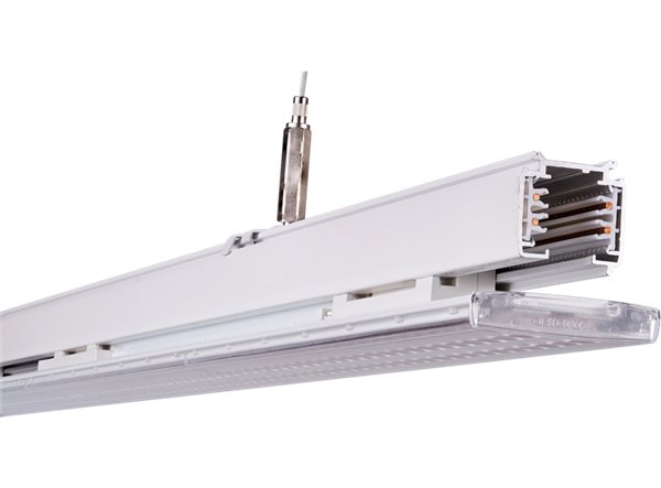 X-Line-1 C3626
